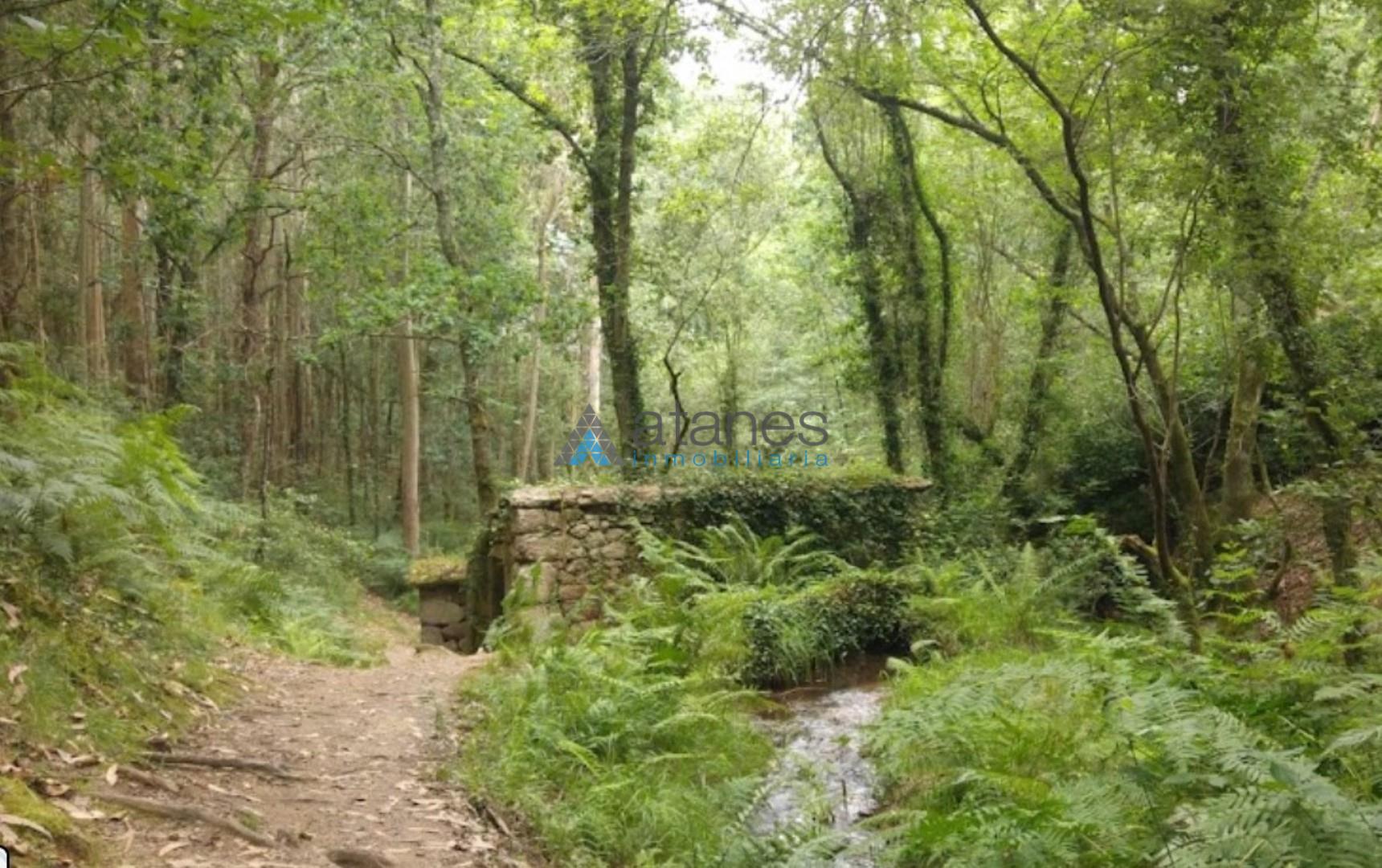 Alrededores