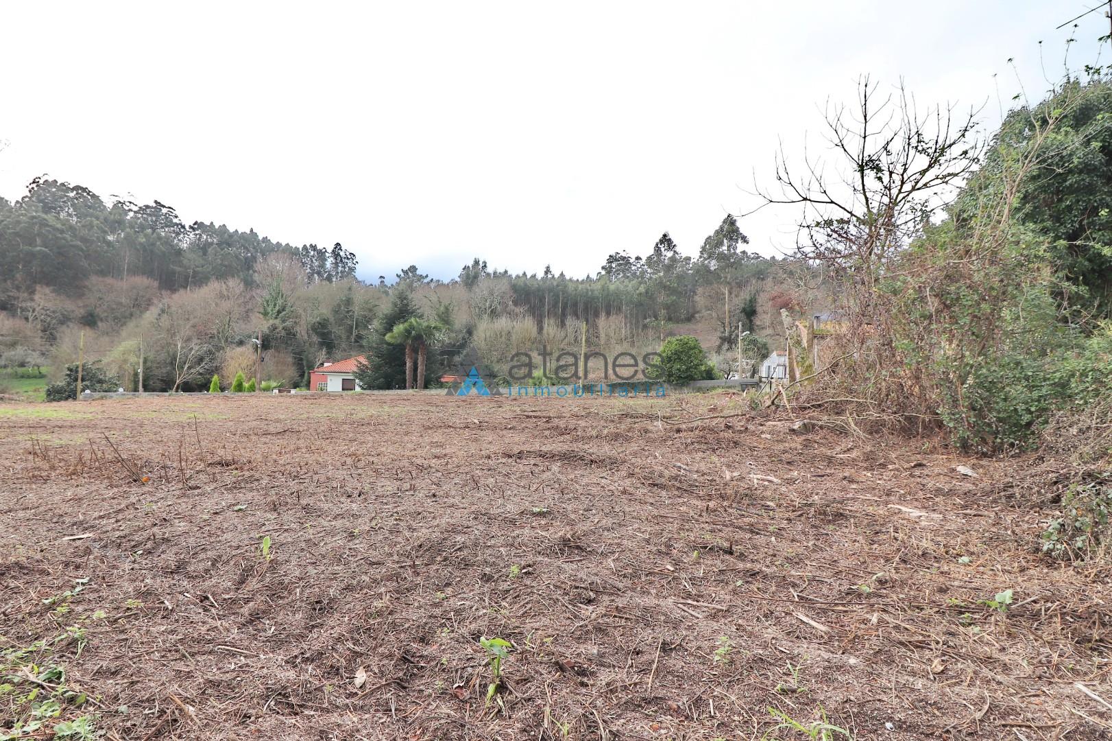 Jardín
