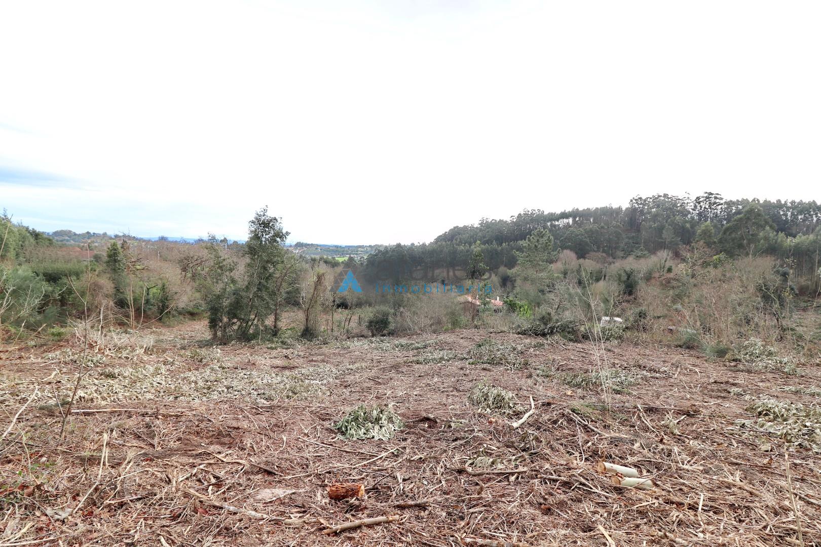 Jardín