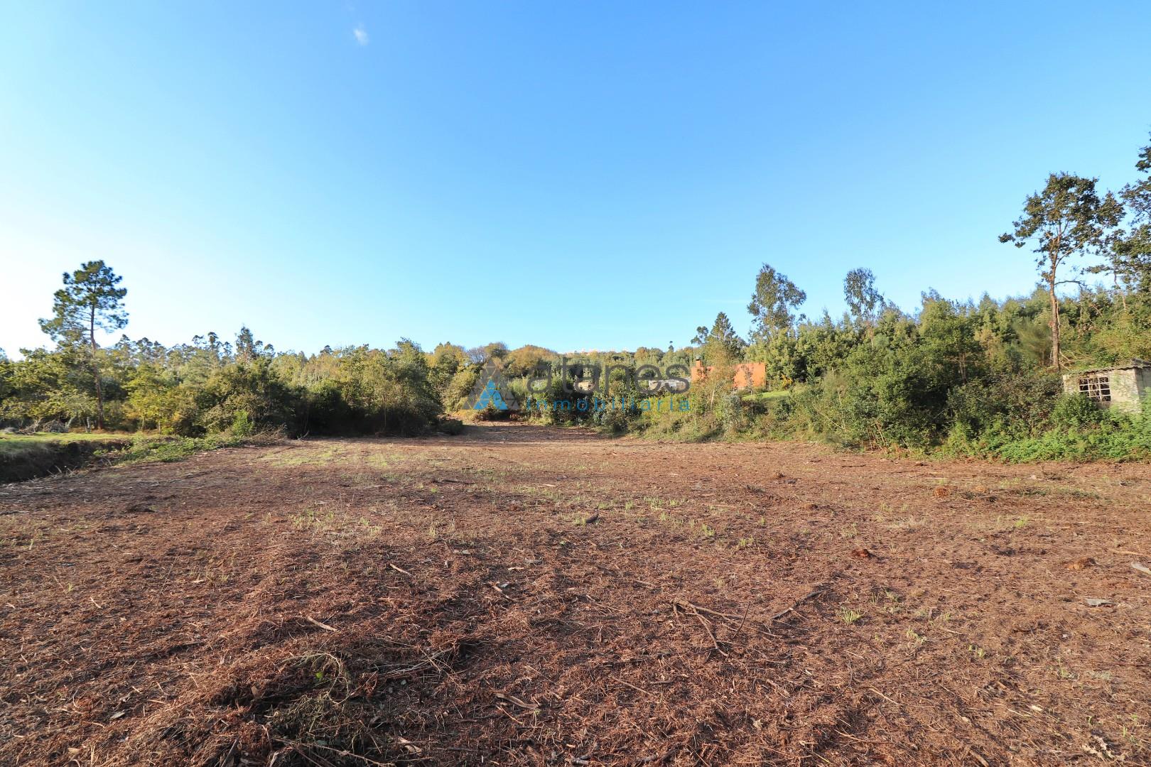 Jardín