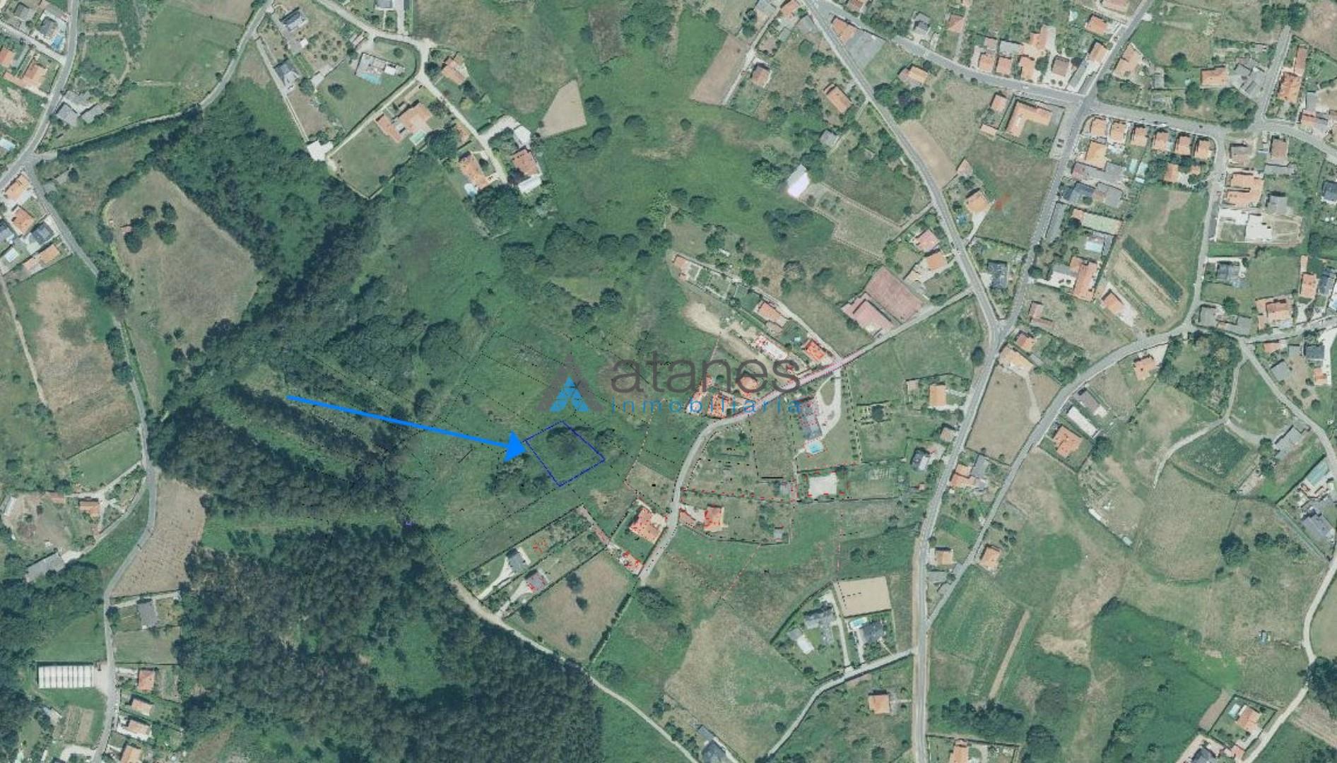 Plano