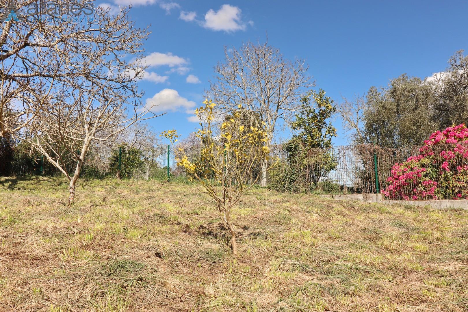 Jardín