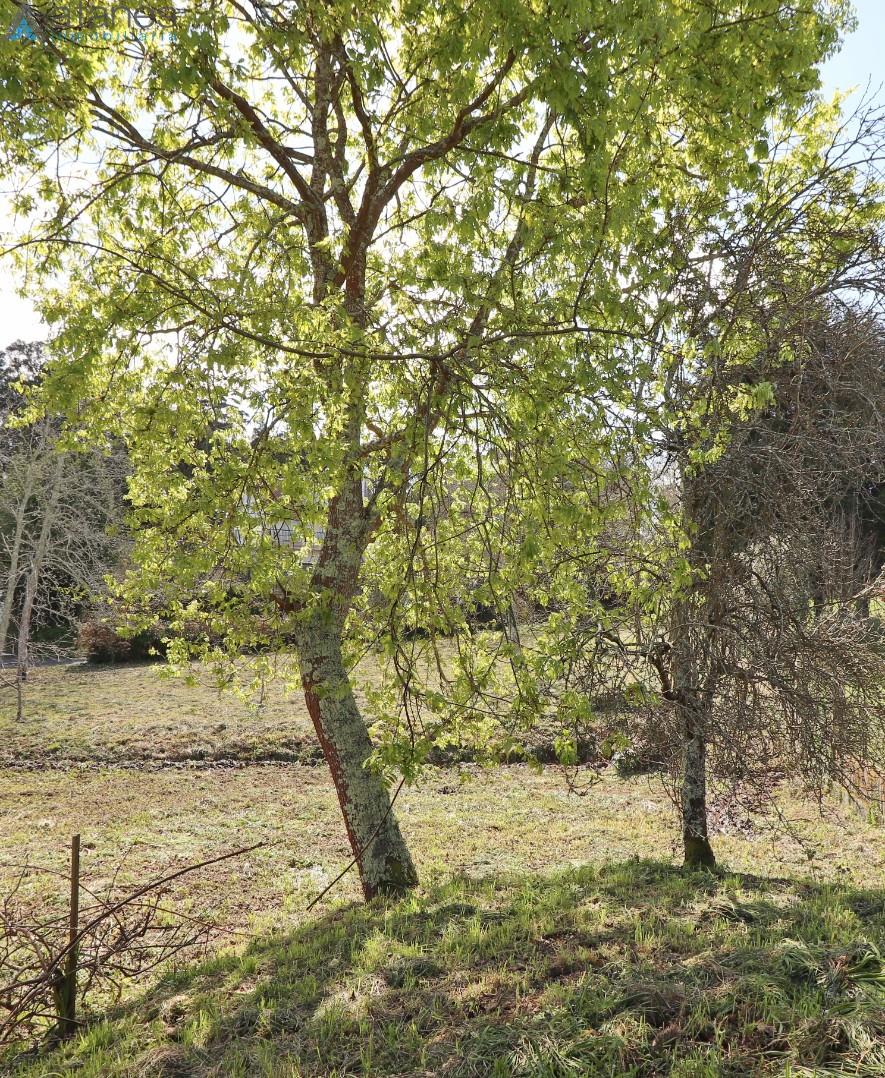 Entrada